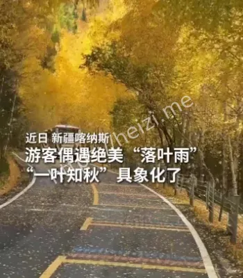 偶遇绝美落叶雨