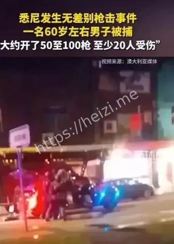 悉尼Parramatta枪击16伤事件